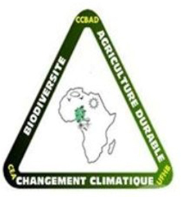 Logo CEA CCBAD